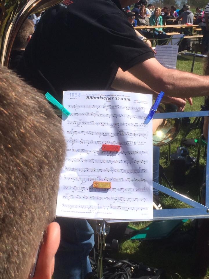 13166104_1031648383538002_3031648234806615268_n